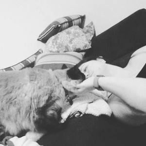 Meet your Posher, Crystal